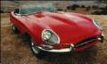 An E-type Jag